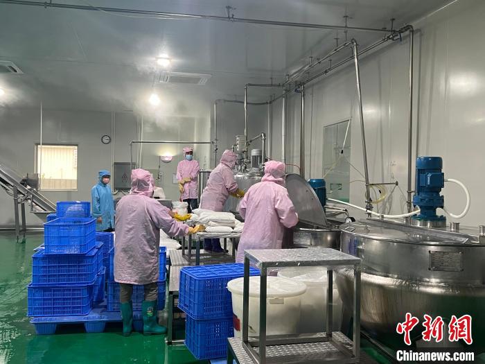 鮮友生產(chǎn)車間 每一瓶果汁背后的匠心與科技